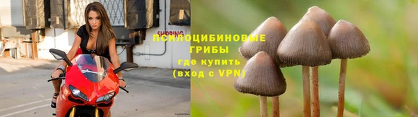 амф Алексеевка